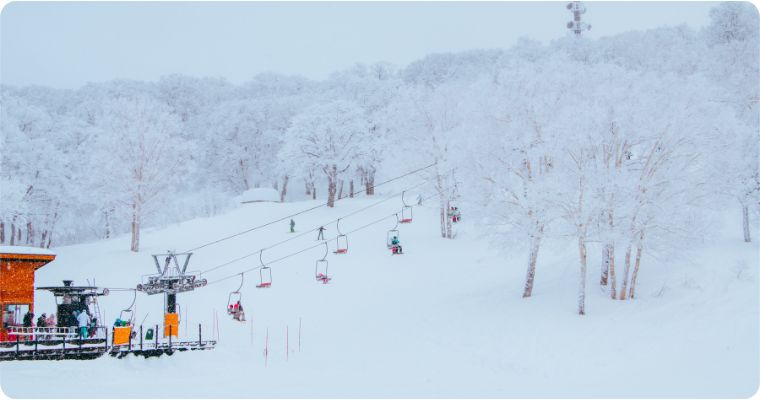Is It Worth Visiting Japan During The Ski Season?