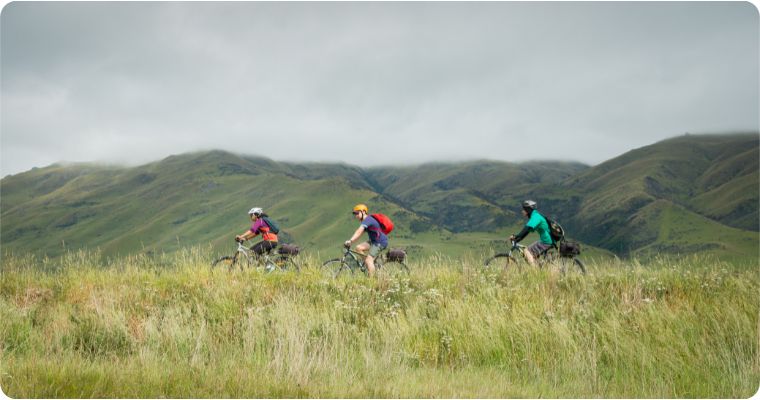 Exploring NZ's Countryside by Bike: The Best Rural Trails