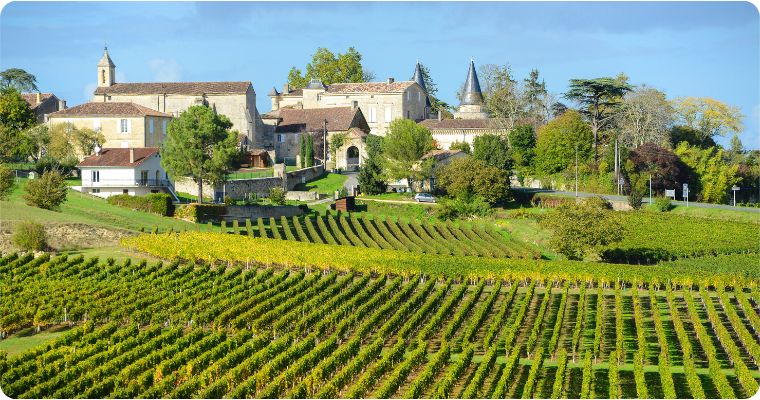 Saint Emilion vineyard Bordeaux France
