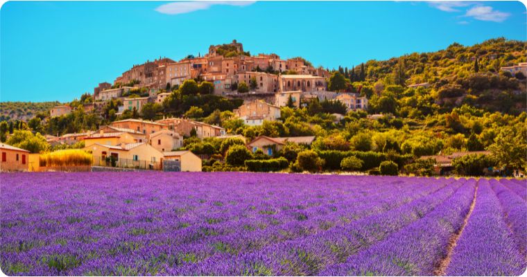Samiane la Rotonda village and lavender filed Provence France 