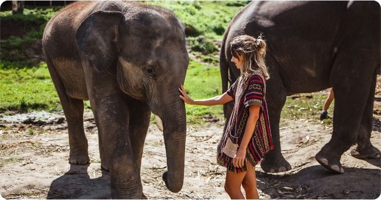 Top Ethical Elephant Sanctuaries to Visit In Thailand