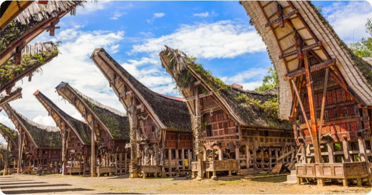 Tongkinans Trojan Ancestral houses in South Sulawesi Indonesia