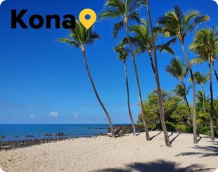 Palm trees on beach on Kona Hawaii