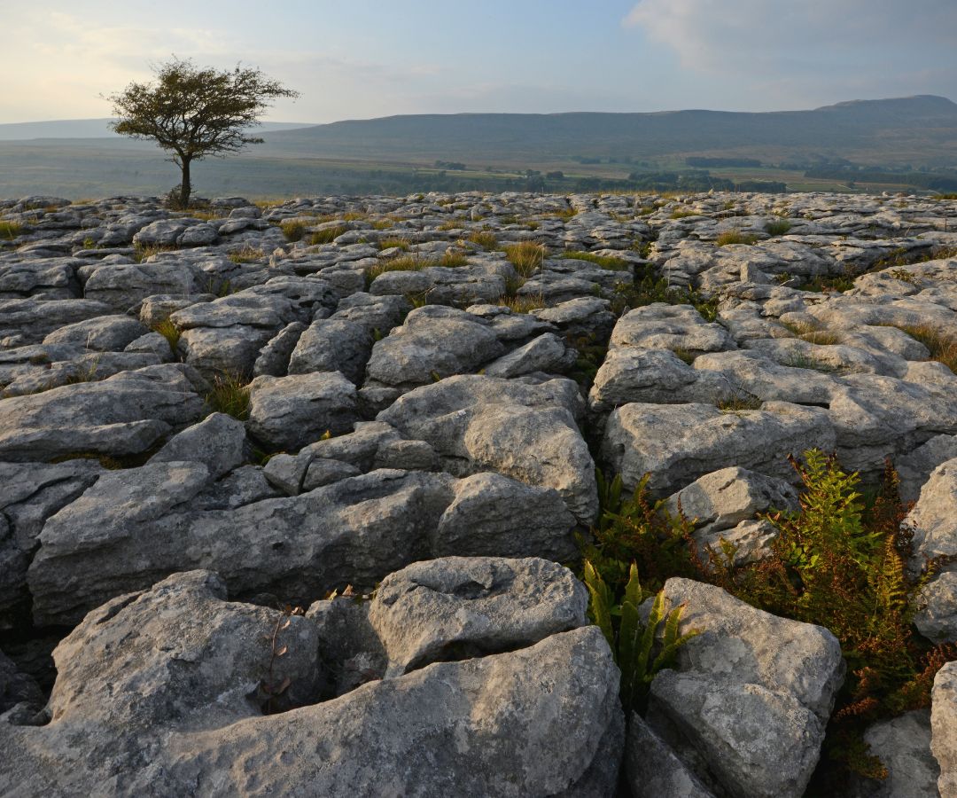 yorkshire-dale