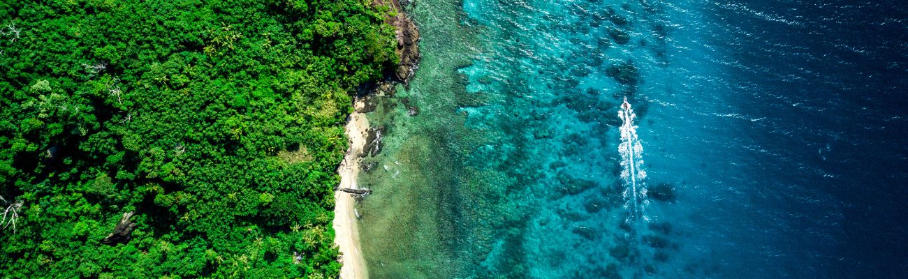 fijian-coast