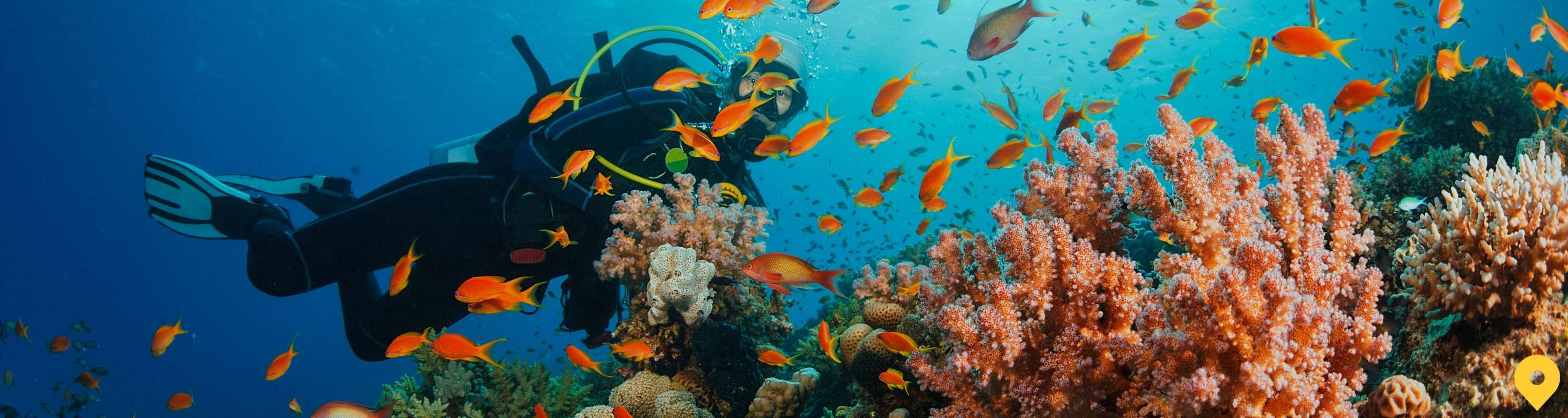 rayyu-maldives