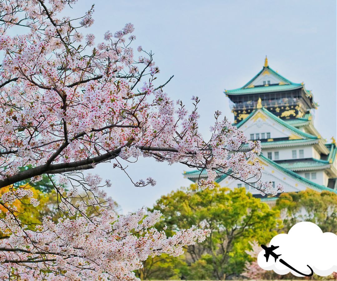 cherry-blossoms-near-temple