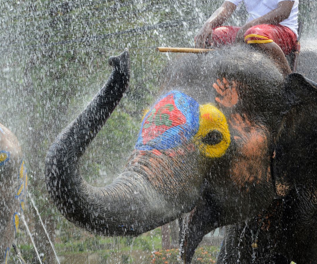 thai-festival