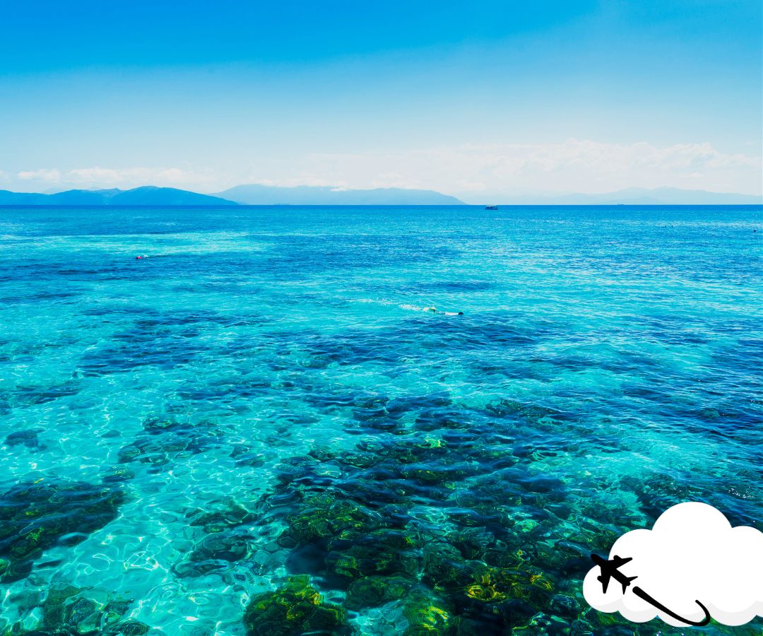cairns-reef