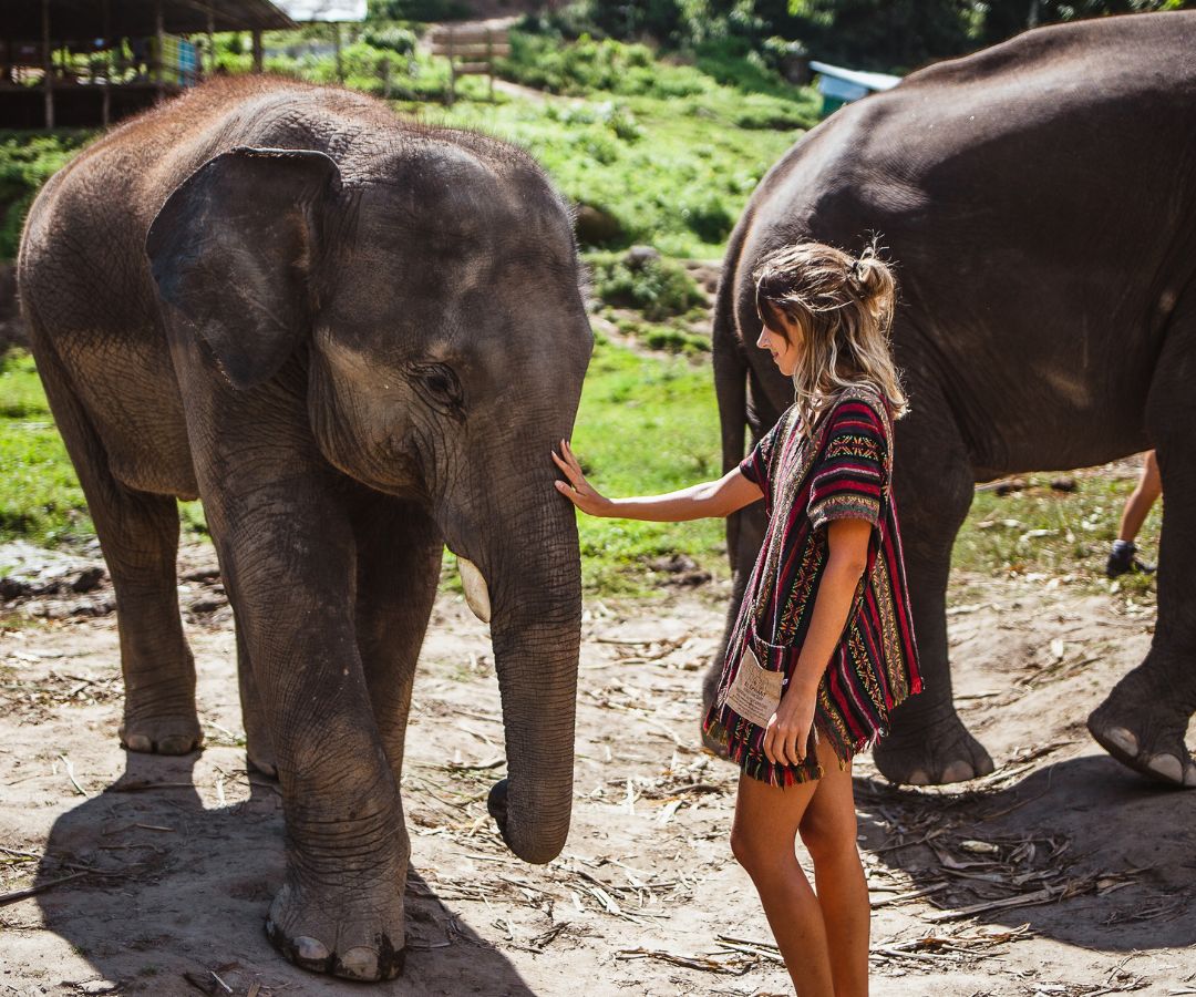 ao-nang-elephant-sanctuary-2