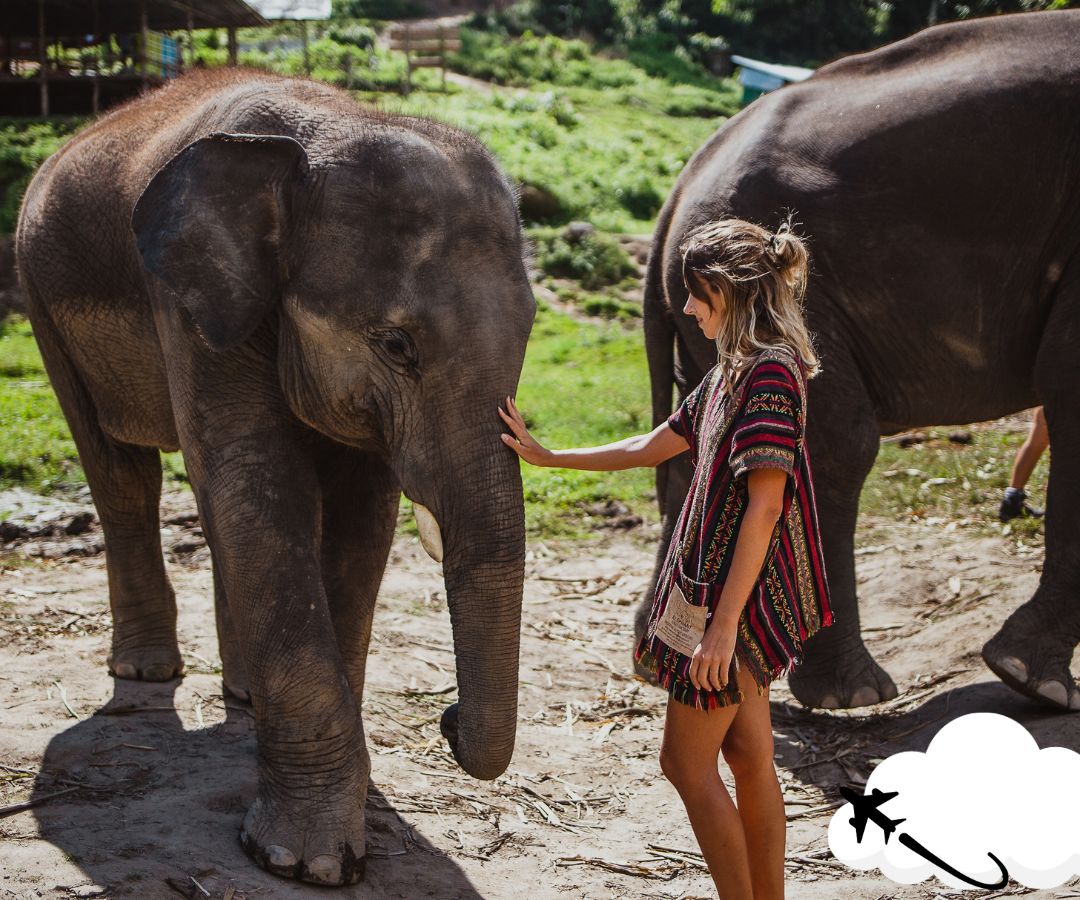 ao-nang-elephant-sanctuary-2