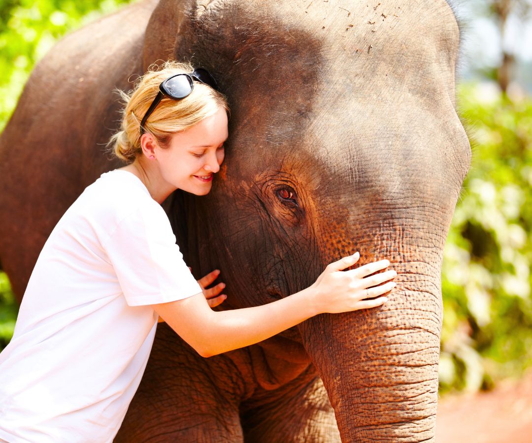 ao-nang-elephant-sanctuary