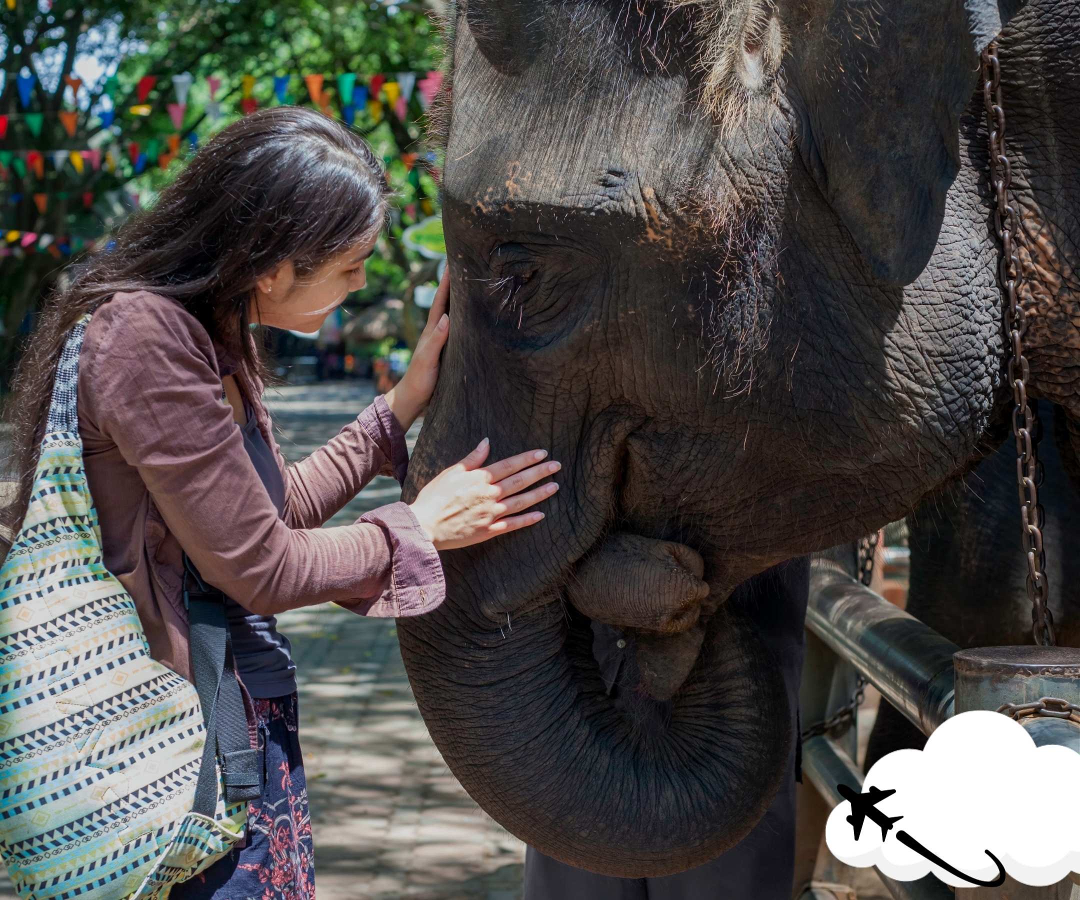 chaing-mai-elephant-sanctuary-couple-feeding