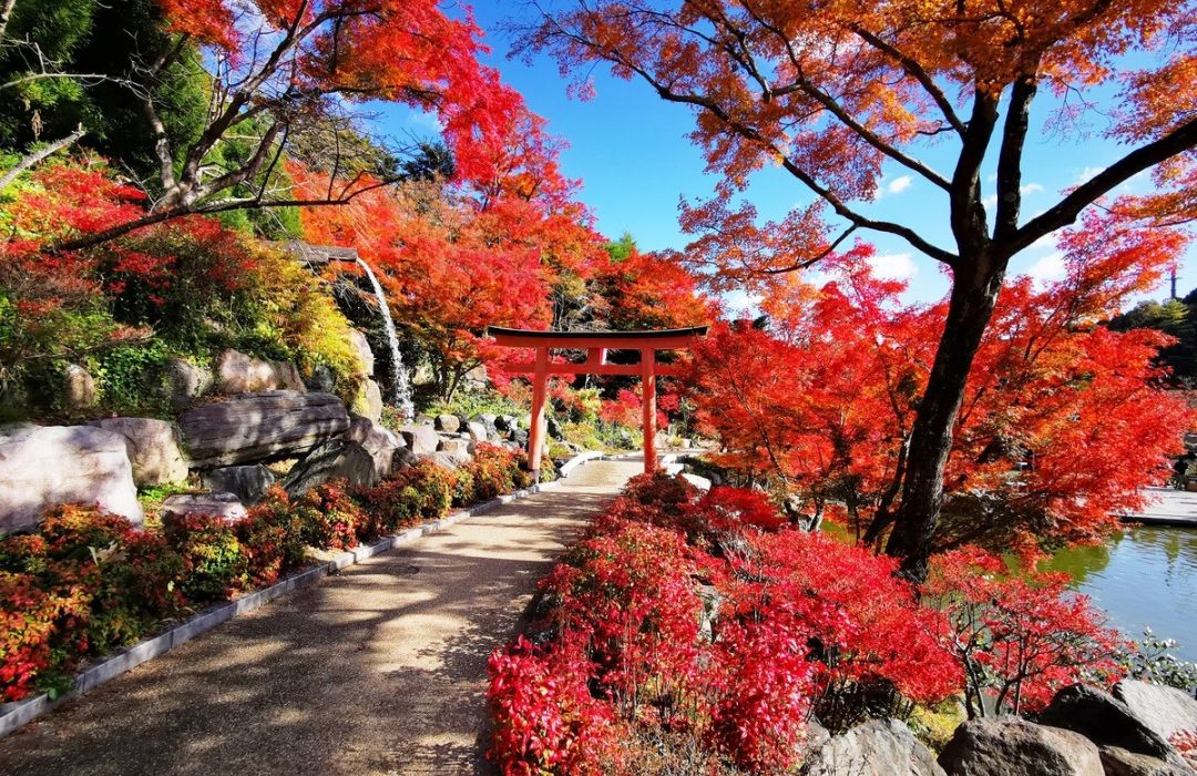 osaka-path