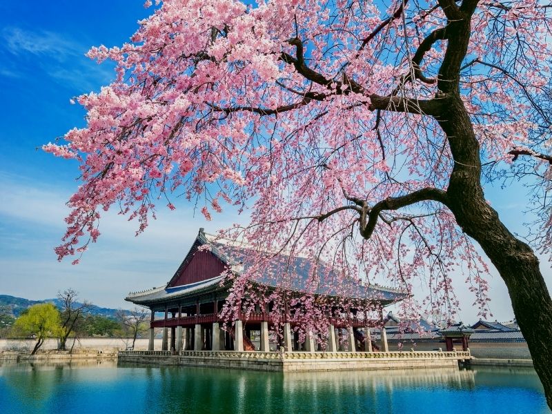 seoul-temple