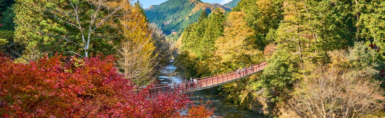 tokyo-nature