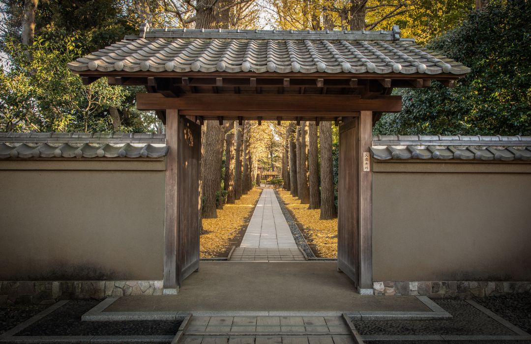 tokyo-forest-walk