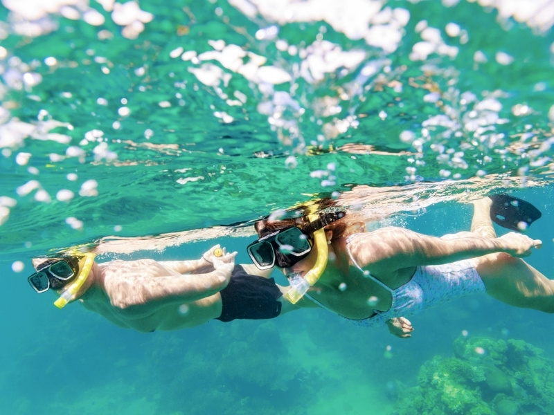 snorkelers-at-cairns