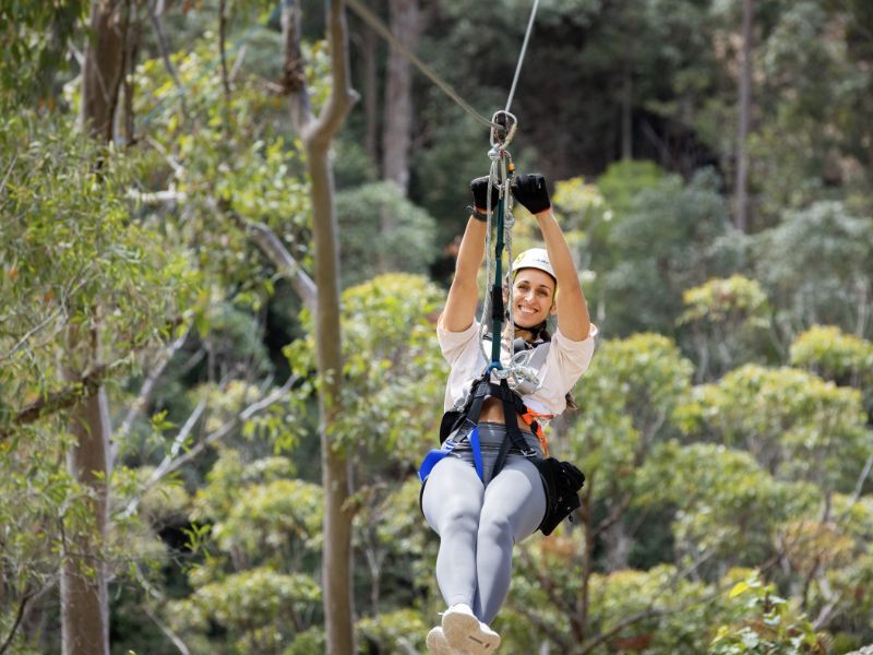 zip-line-gold-coast