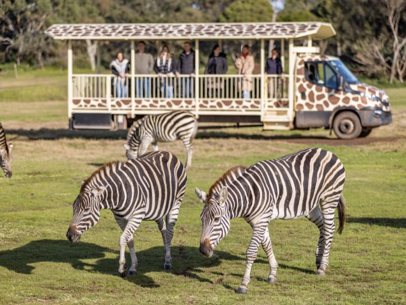 zoo-melbourne
