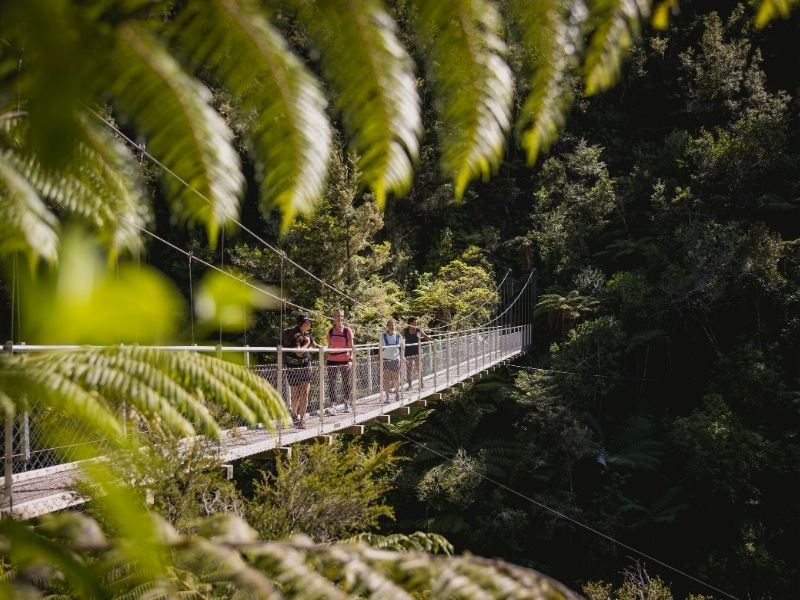 nelson-bridge