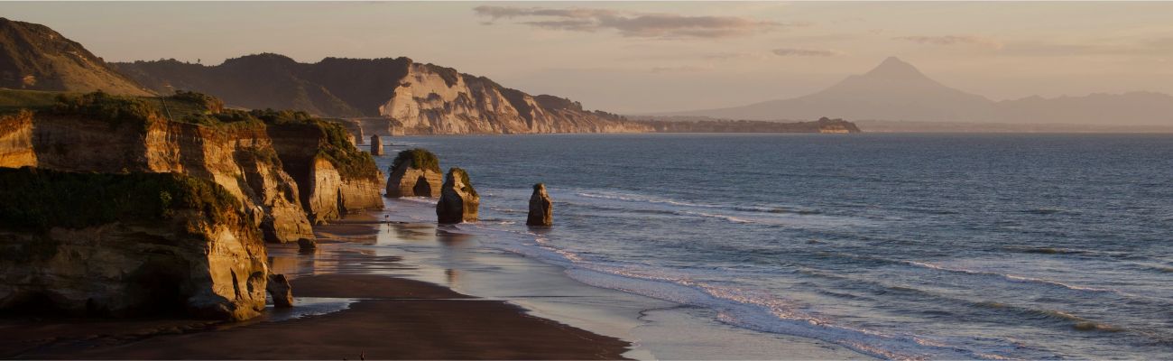 new-plymouth-coast