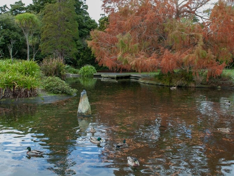 palmerston-north-river