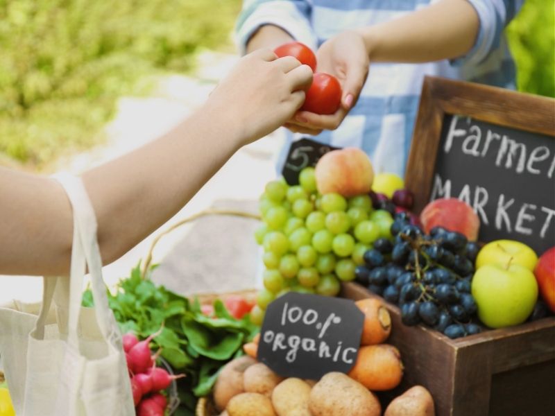 palmerston-farmers-market