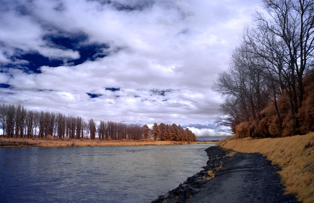 palmerston-north-rvier