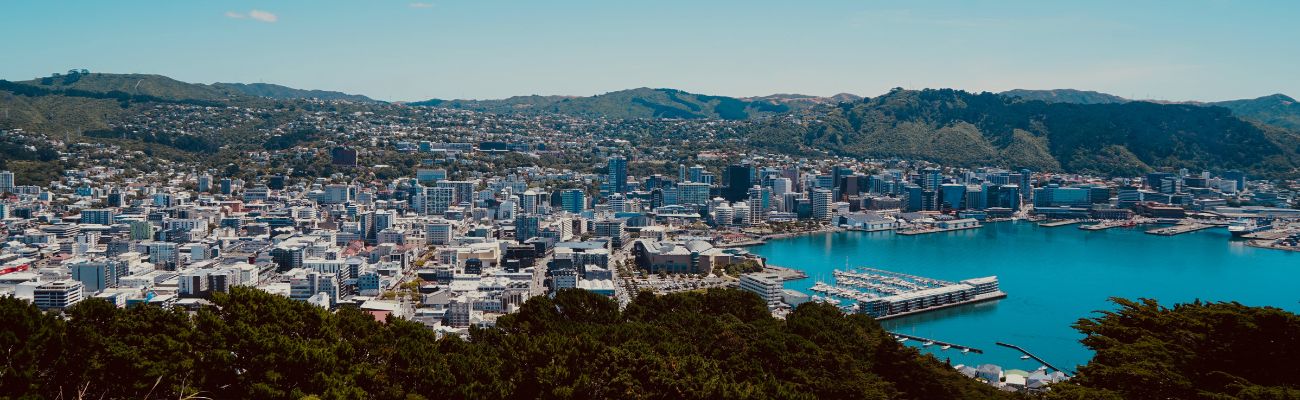 wellington-city