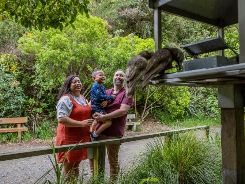 wellington-family