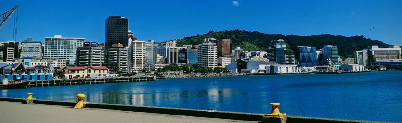 wellington-city