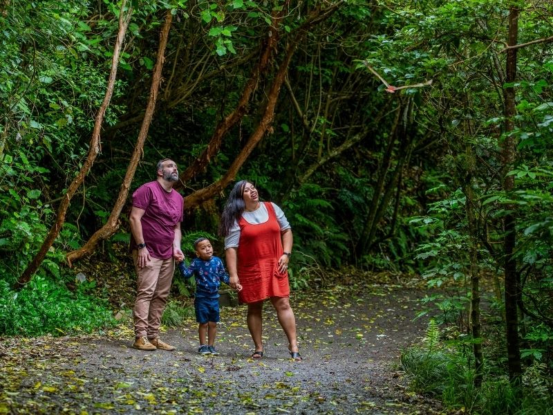 wellington-family