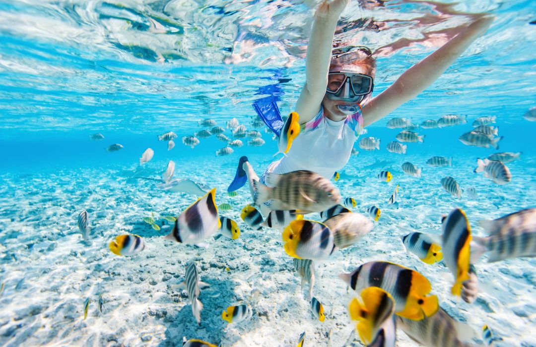 fiji-snorkelling