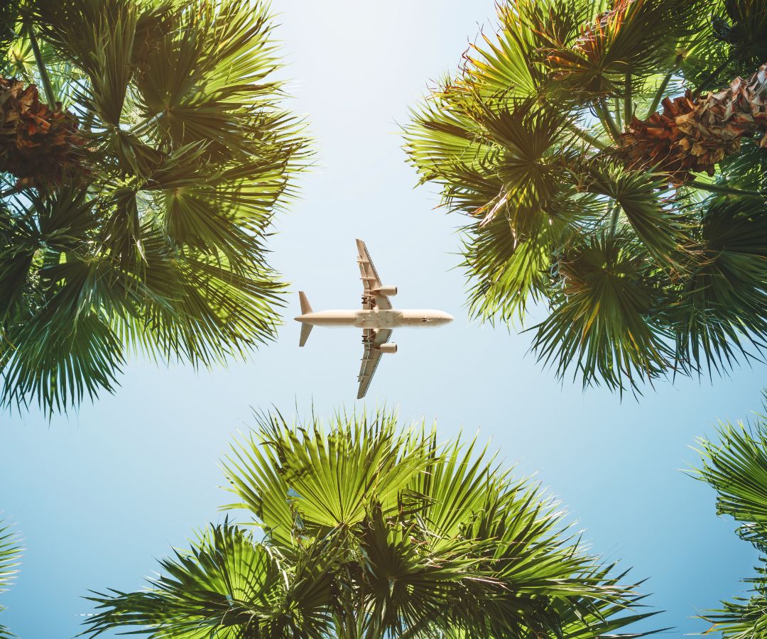 plane-flying-over-palm-trees