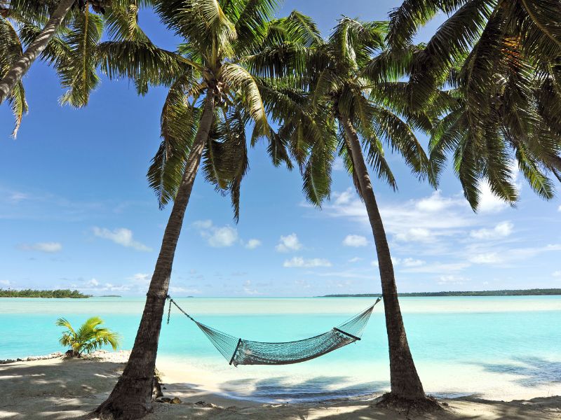 rarotonga-hammock