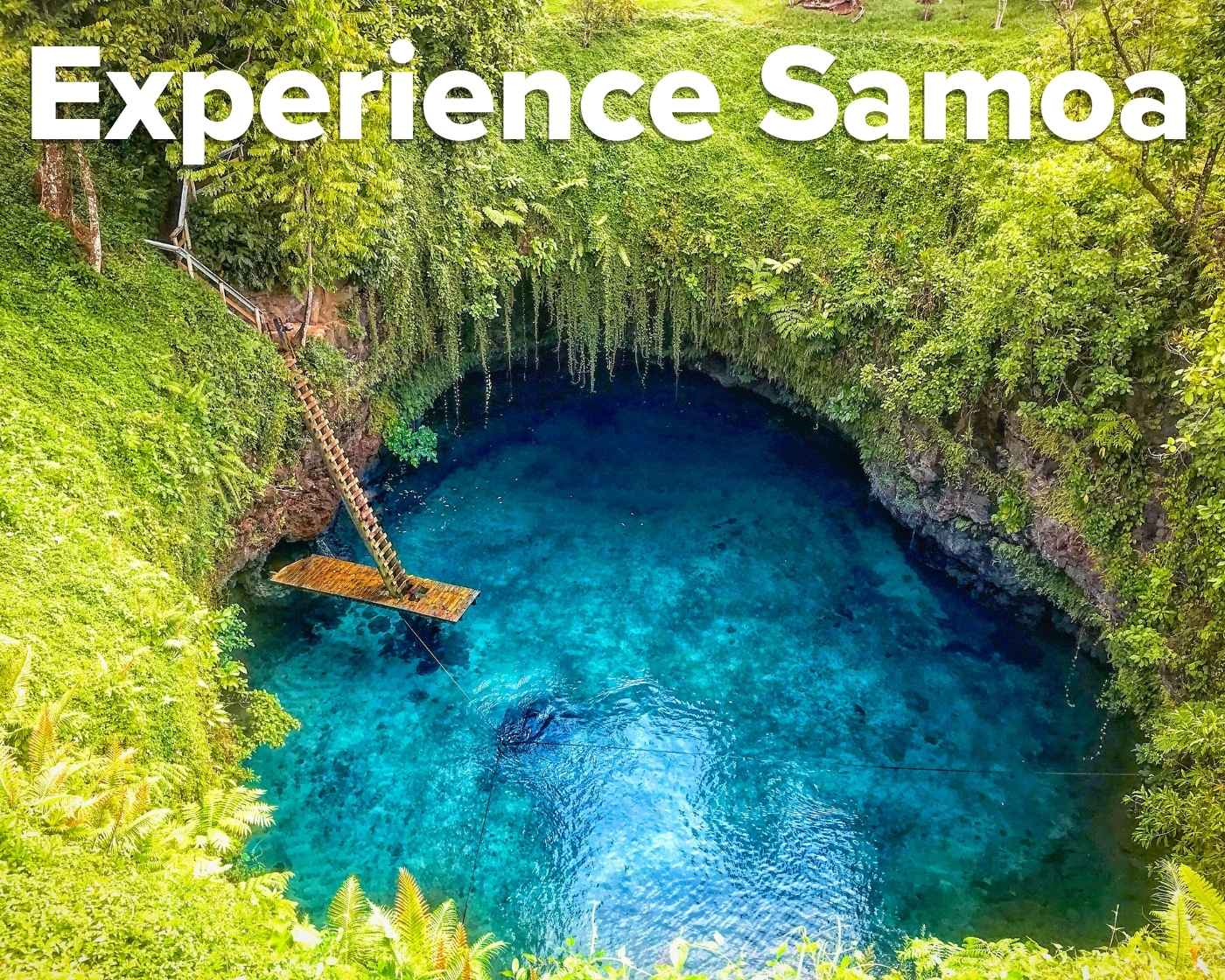 samoa-watering-hole