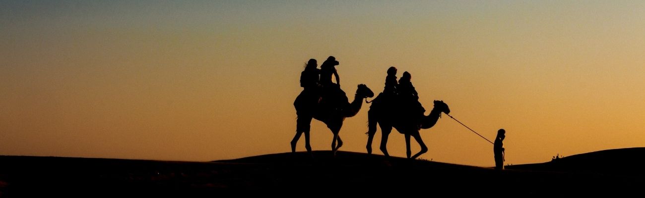 Middle-East-camels