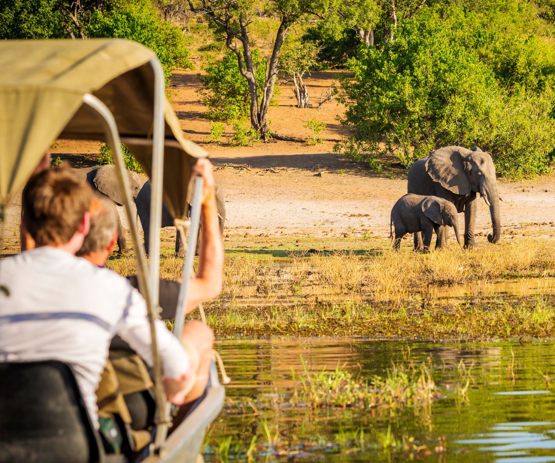 africa-safari