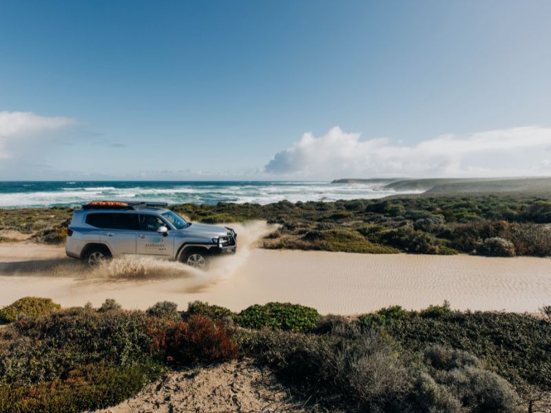 australia-safari-car