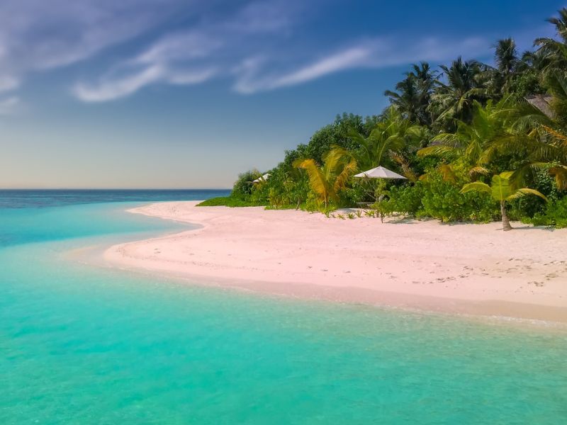 south-pacific-tropical-beach