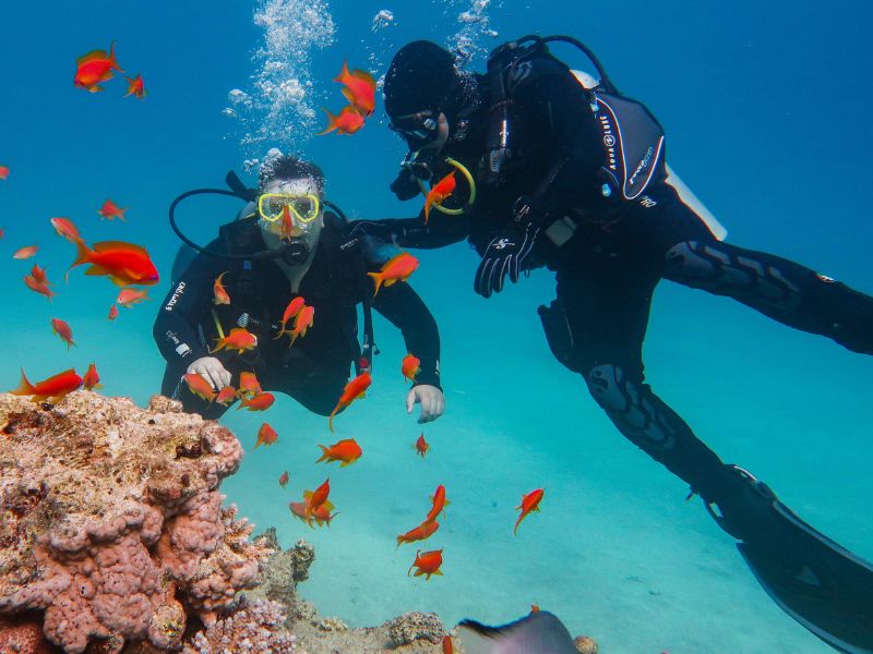 south-pacific-diving