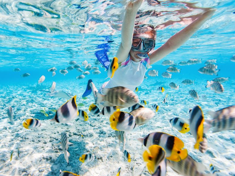 south-pacific-snorkeling